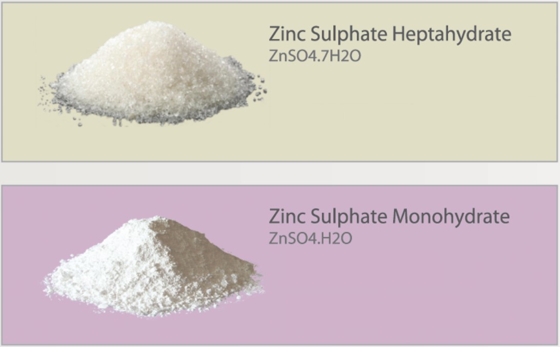 Sulphate 1