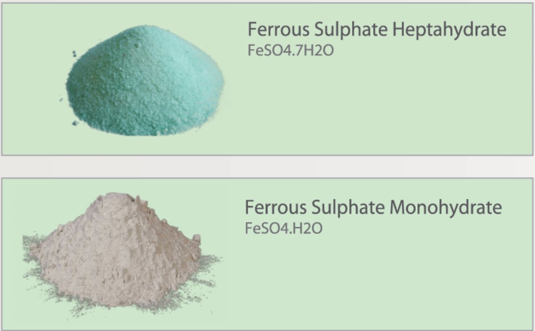 Sulphate 4